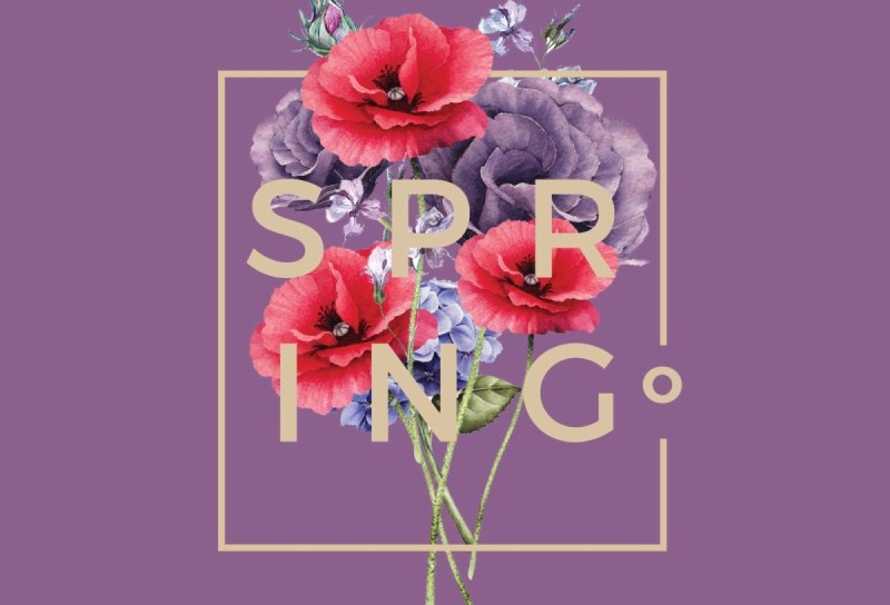 direct mail marketing example for a home service professional business