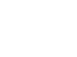 Vice